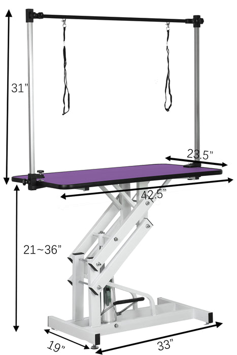 Hydraulic Pet Grooming Table With "H" Arm