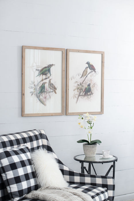 Bird Framed Print (Set of 2) - Multicolor