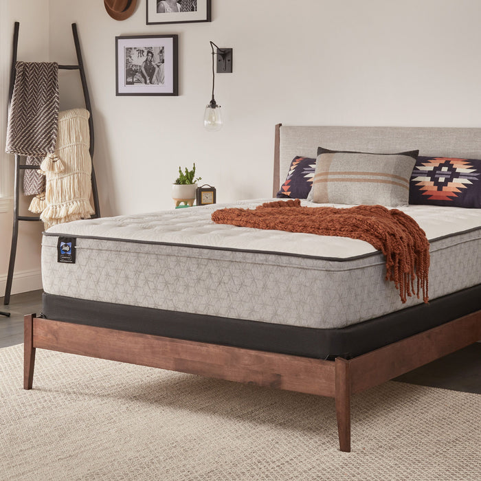 Essentials Deaton II Medium Faux Euro Top Mattress