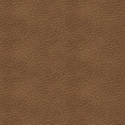 Bolsena - Caramel - Queen Sofa Sleeper - Leather Match