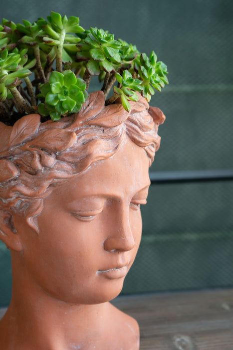 D6X9" Visage Head Bust Planter - Brown