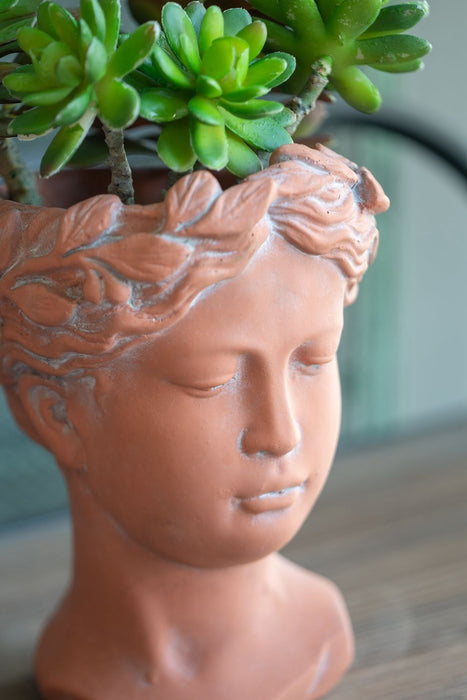 D6X9" Visage Head Bust Planter - Brown