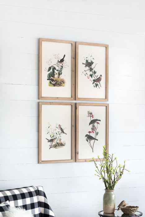 Bird Framed Print (Set of 4) - Multicolor