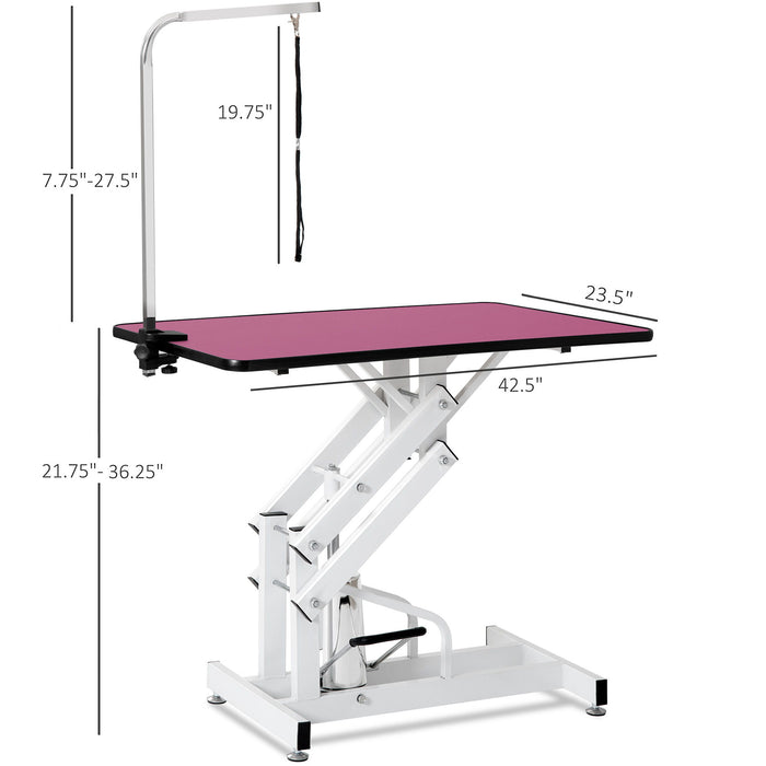 Hydraulic Pet Grooming Table