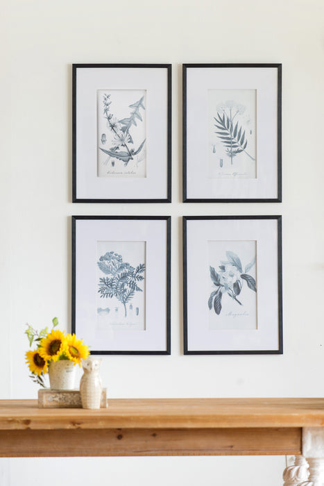 Botanical Wall Art Prints, Home Decor For Living Room, Dining Room, Bedroom, Hallway (Set of 4) - White / Black