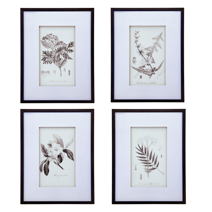 Botanical Wall Art Prints, Home Decor For Living Room, Dining Room, Bedroom, Hallway (Set of 4) - White / Black