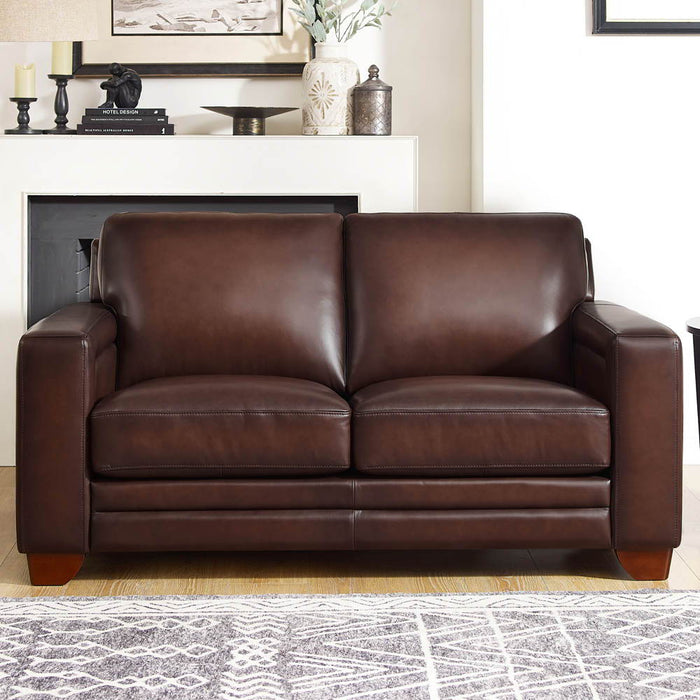 Aiden - Leather Loveseat