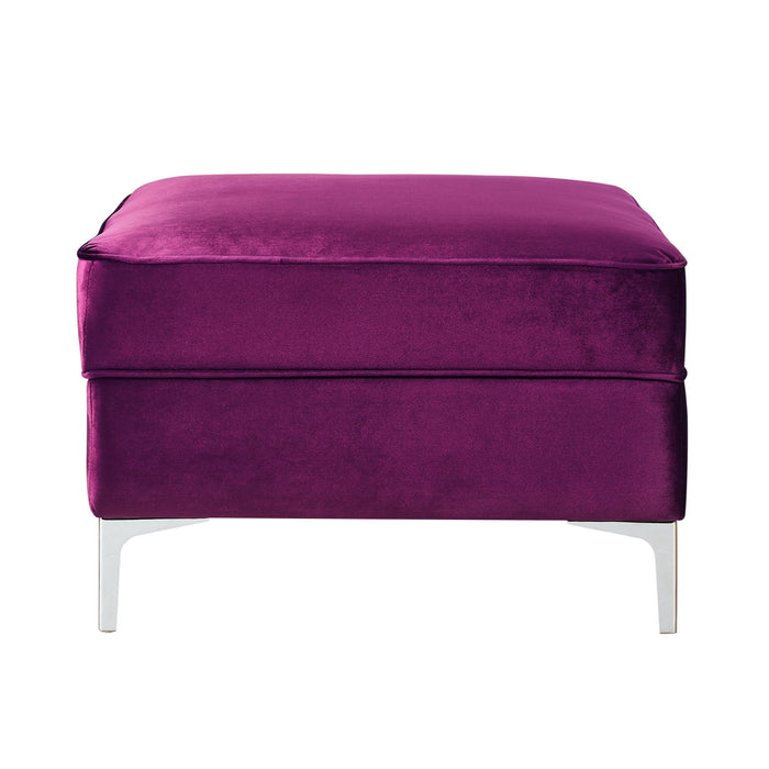 Velvet Storage - Purple / Silver