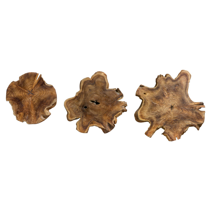 Kalani - Teak Wall Art (Set of 3) - Light Brown