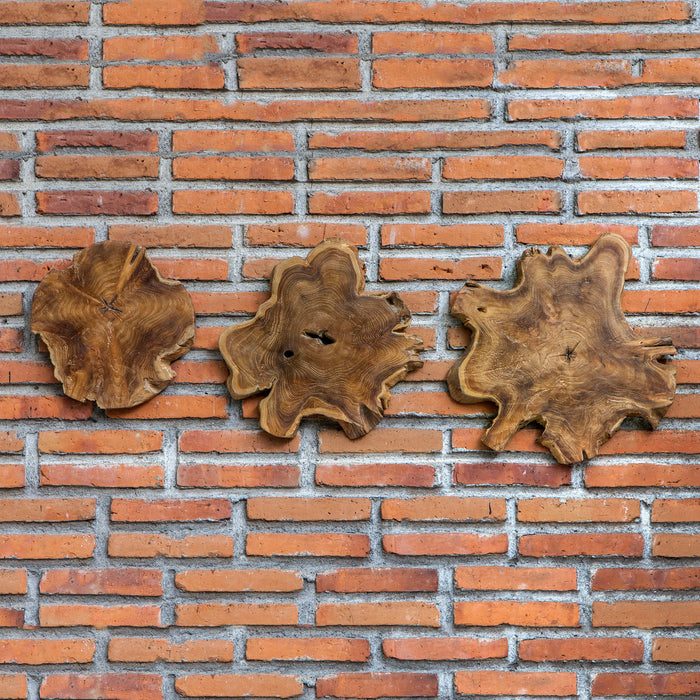 Kalani - Teak Wall Art (Set of 3) - Light Brown