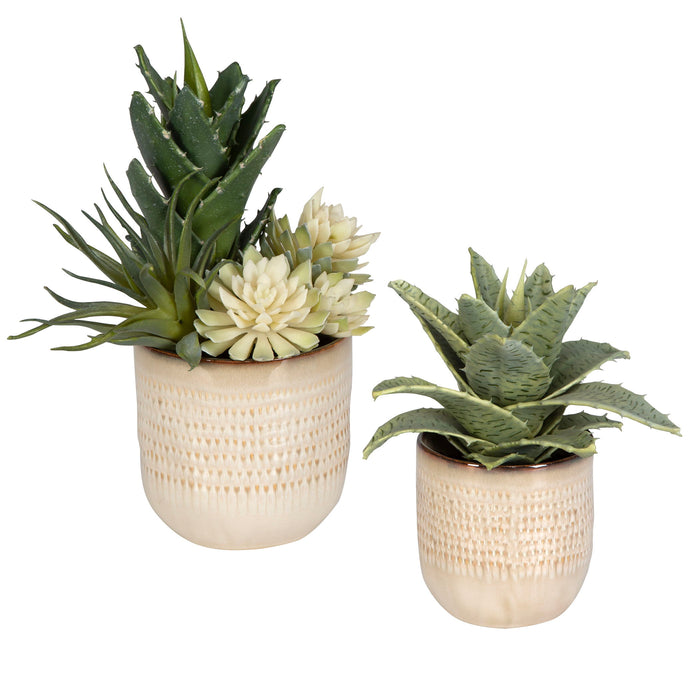 Seaside Succulents (Set of 2) - Pearl Silver