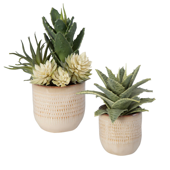Seaside Succulents (Set of 2) - Pearl Silver