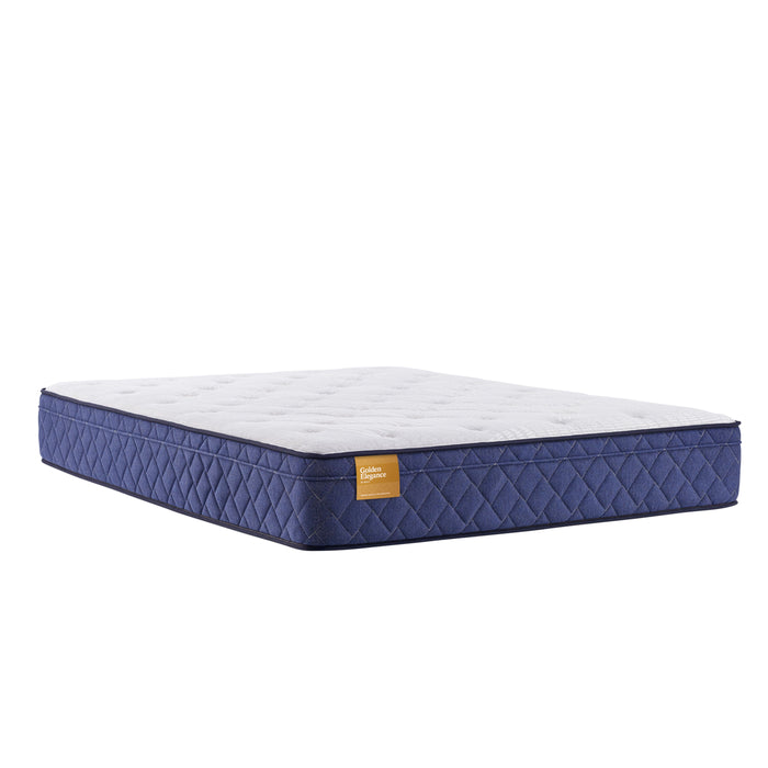 Recommended Assistance Plush Euro Top Mattress