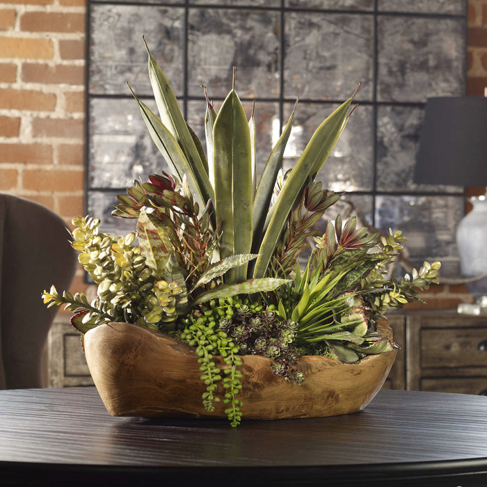 Salar - Succulents In Teak Bowl - Light Brown