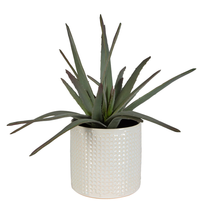 Taos - Aloe Centerpiece - Pearl Silver