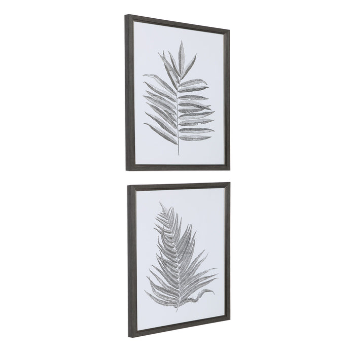 Silver Ferns - Framed Prints (Set of 2) - Pearl Silver