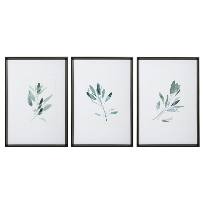 Simple Sage - Watercolor Prints (Set of 3) - White